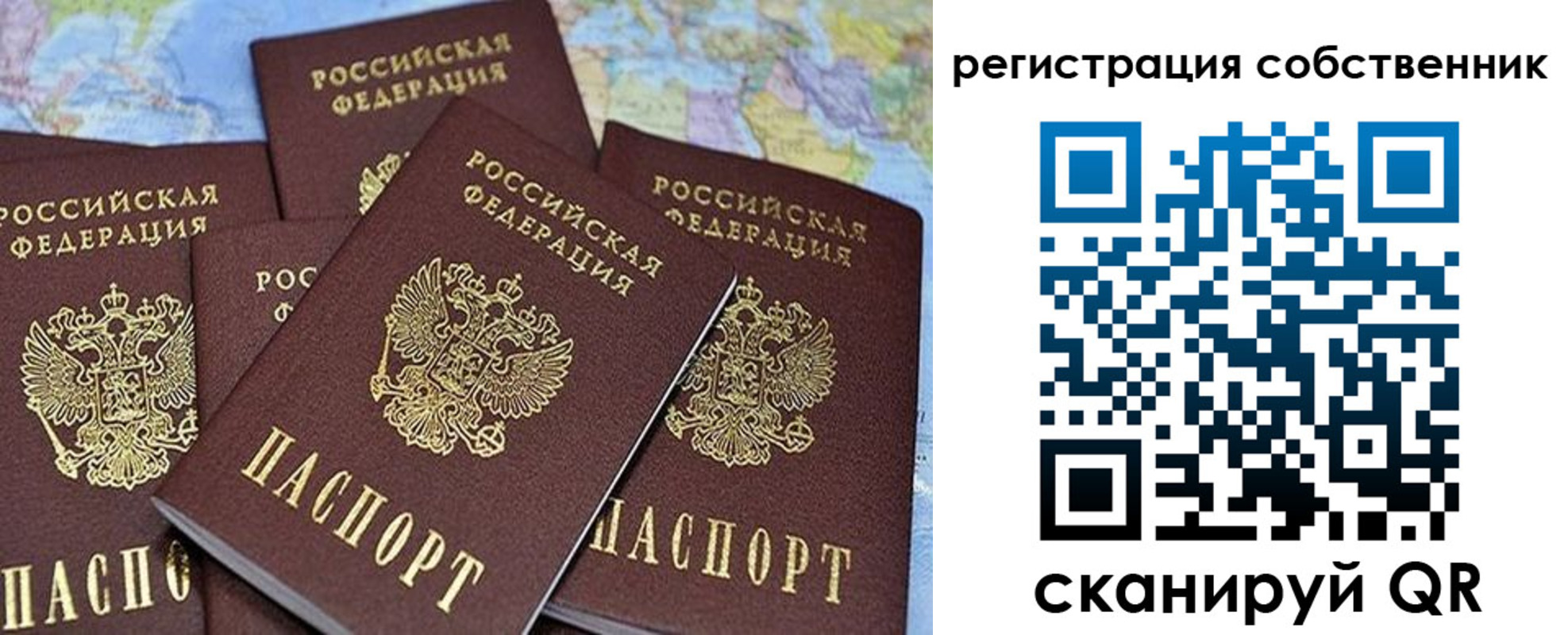 прописка для школы в Вязниках
